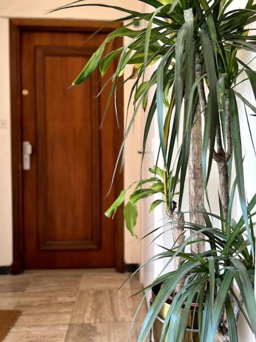 Eze Roc Apartment Екстериор снимка